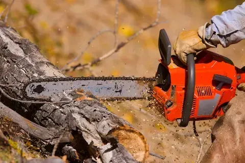 Arborist cutting tree limbs with chainsaw during clearing work — Mountlake Terrace Tree Service specializes in precision tree cutting for property maintenance and safety.