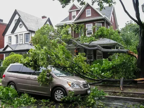 Fallen tree on car after storm near residential home — Mountlake Terrace Tree Service delivers fast, reliable storm damage cleanup and 24/7 emergency tree removal services.