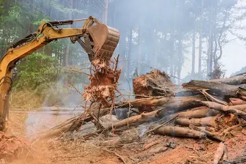 Excavator removing stumps and debris during land clearing — Mountlake Terrace Tree Service handles full-scale land clearing and site preparation for new construction or landscaping projects.