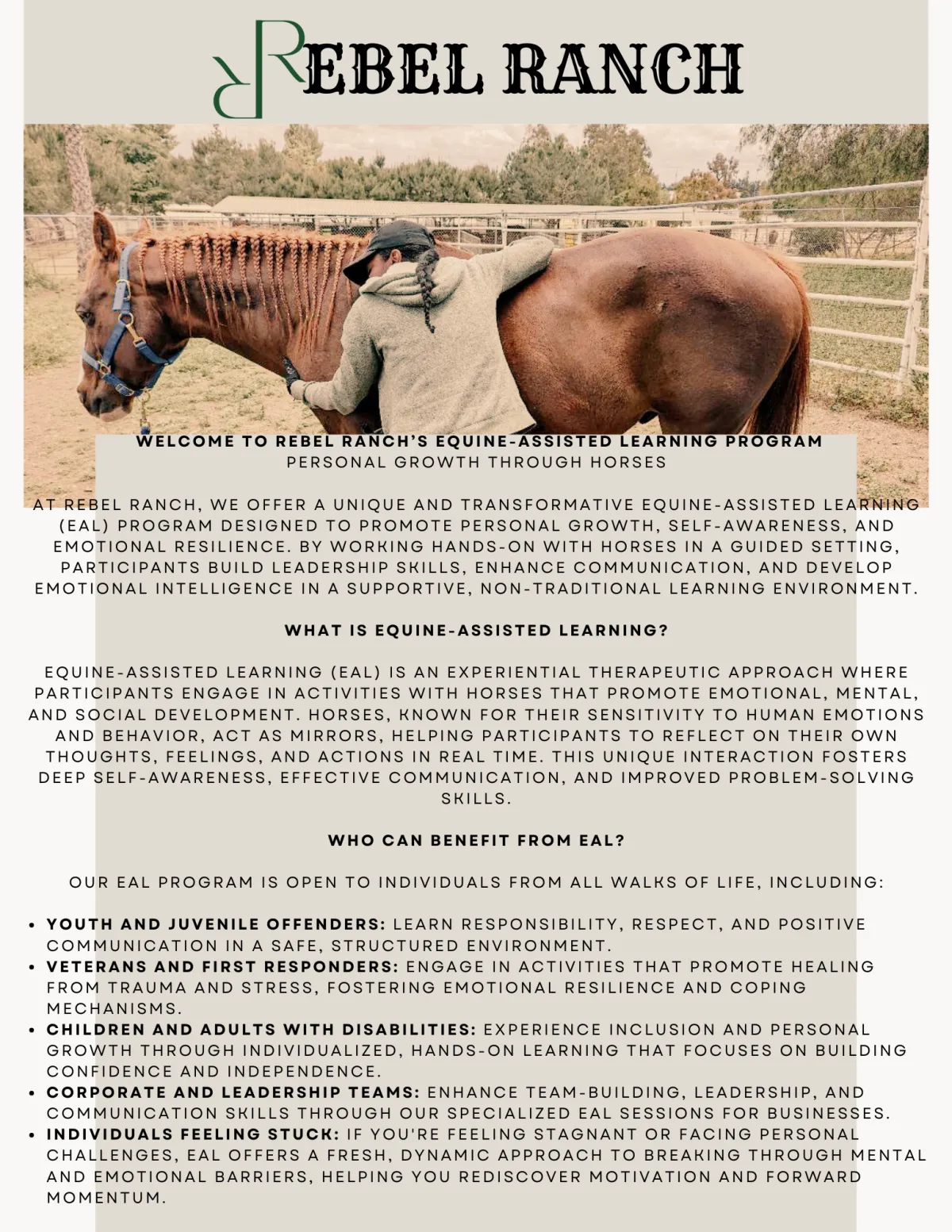 horse riding lessons
