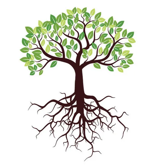 Root cause image