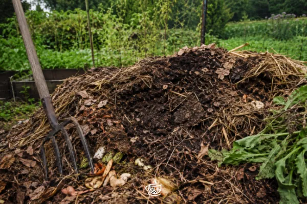 Midseason Compost Check-In: What’s Working