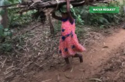 A child carrying some firewood from Madduru Village 