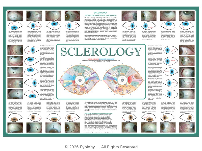Dr. Leonard Mehlmauer Text Books