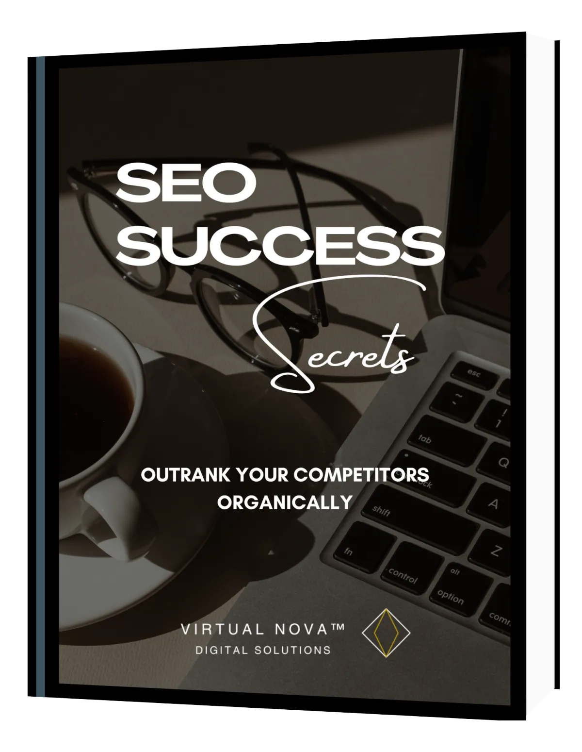 Seo success secrets virtual nova