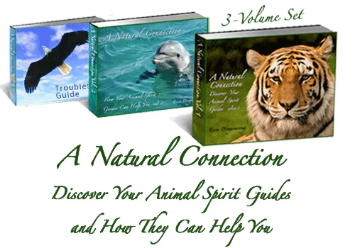 A Natural Connection: Discover Your Animal Spirit Guides & How They Can Help You, book set by erin Dragonsong