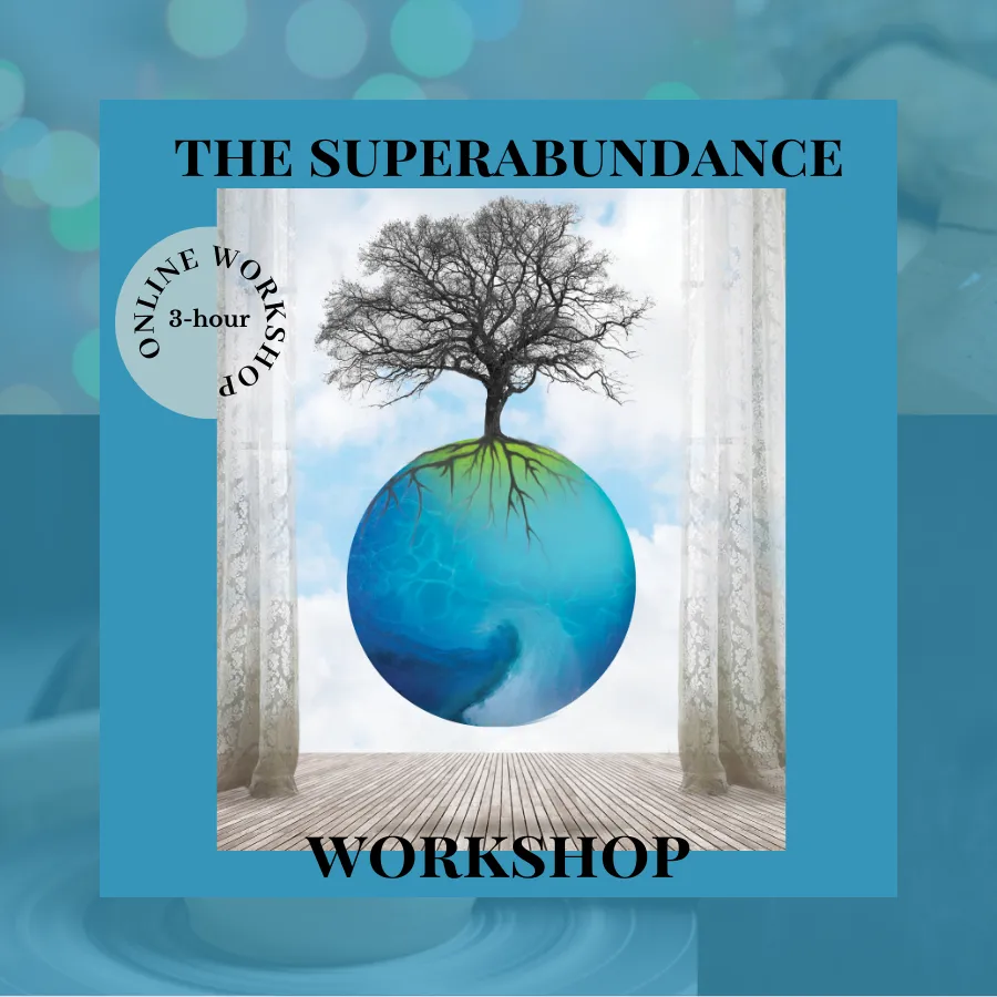 Superabundance workshop