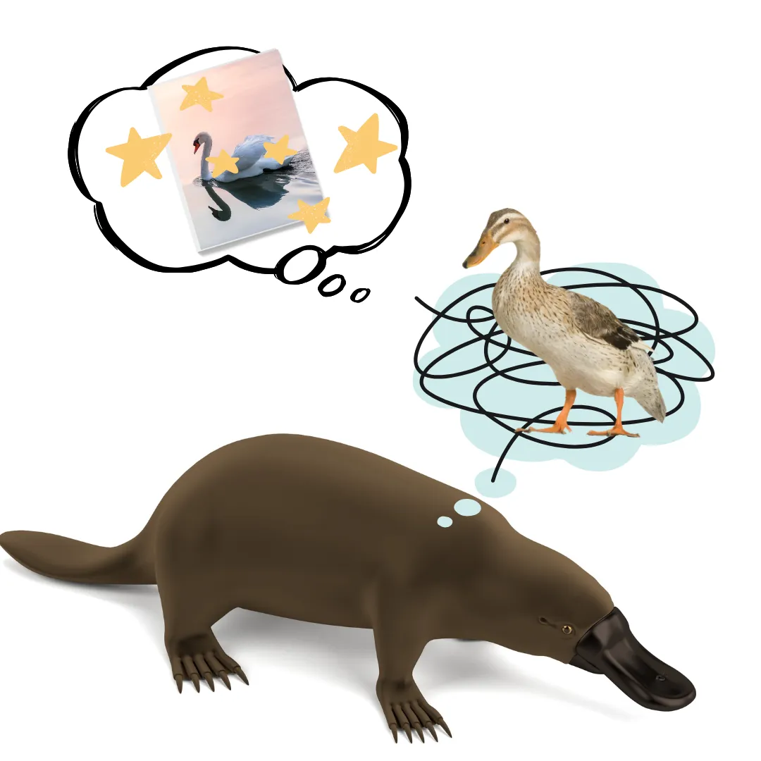 The Lessons of the Platypus - the surprising yet insightful parallels between the enigmatic platypus and your journey in life and business 