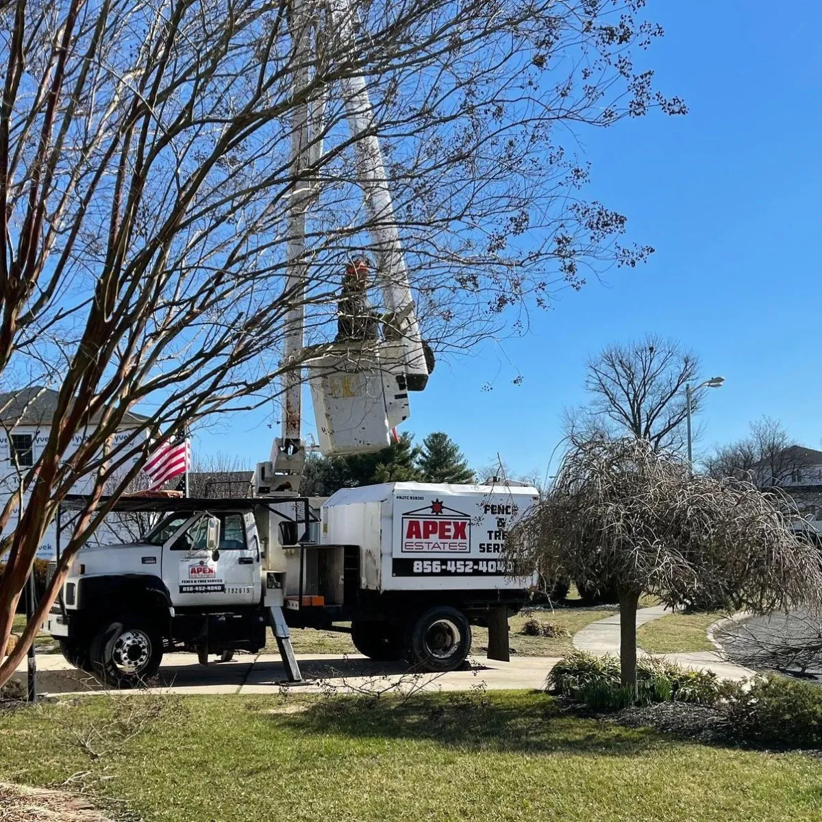 Tree services in South Jersey - Apex Estates Inc.