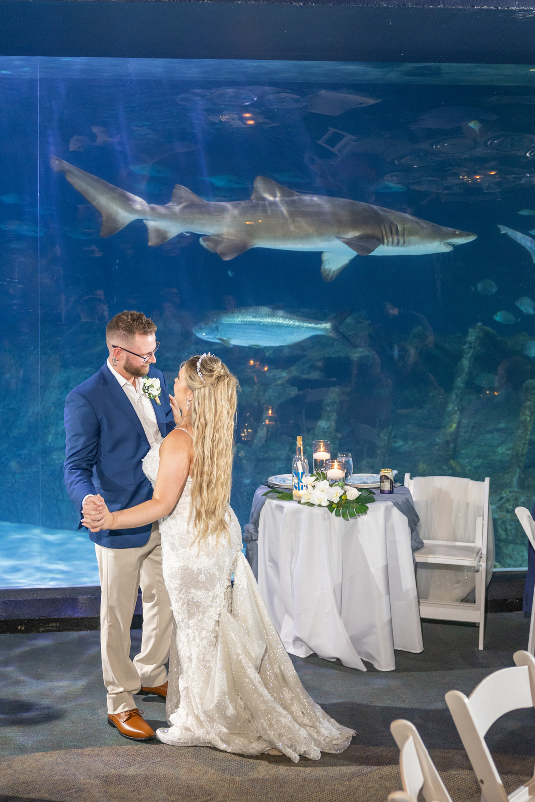 wedding photo & video