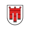 Icon Automatisierung