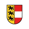 Icon Automatisierung