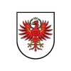 Icon Automatisierung