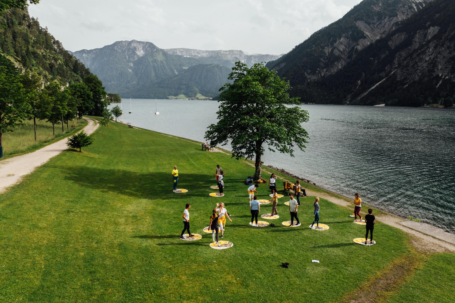 Hollaus Movement Training