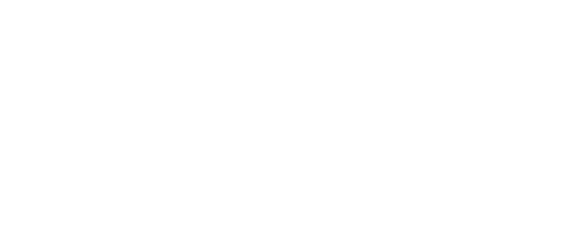 Brand Logo- Budget Blinds