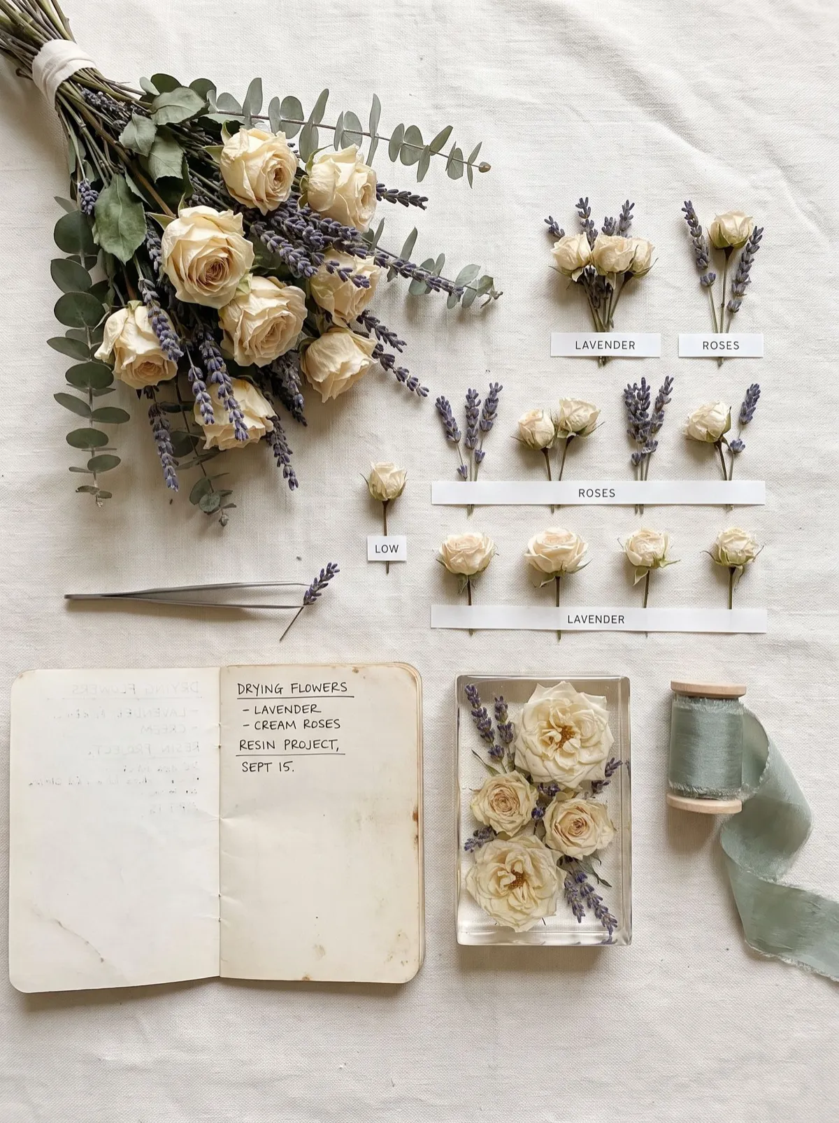 Blumen-Guide holen