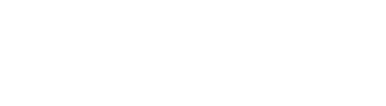 Intellivizz