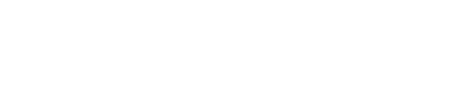 Intellivizz AI