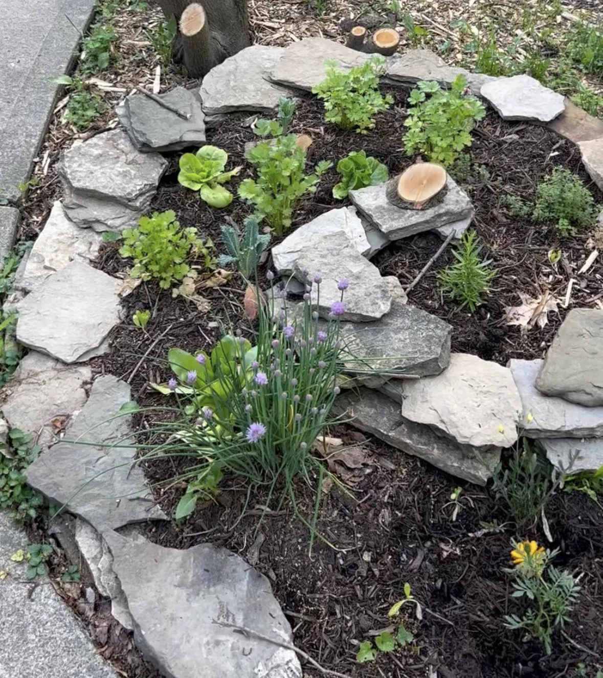 10 Plants for a Living Nursery