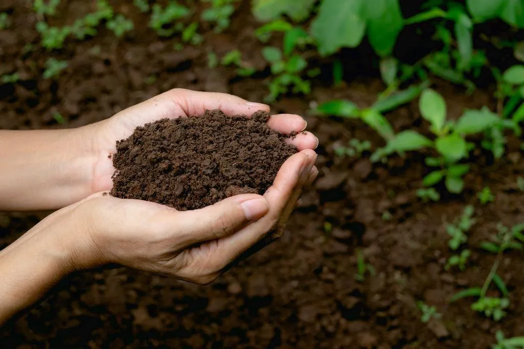 Composting is good for the soil