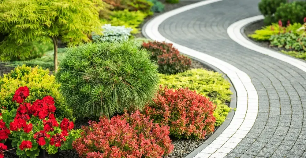 Driveway Landscaping 