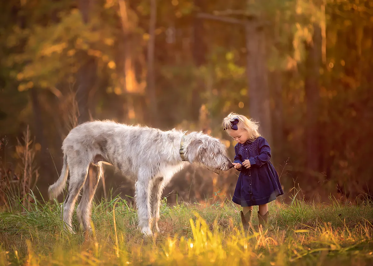Fine art pet photography Raleigh NC with dramatic lighting