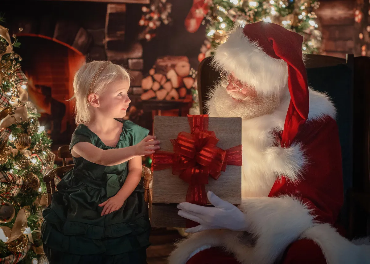 Limited Edition Sessions Storybook Santa, Flower Field, Tutus, Gone Fishing and Tea Party - Raleigh and surrounding areas