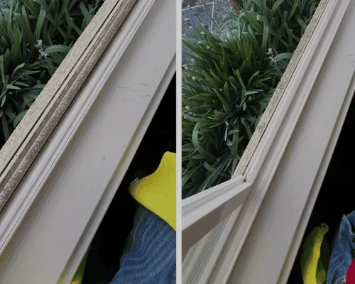 Commercial Window Cleaning Grand Junction