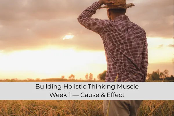 Cause & Effect — Stop Treating Symptoms