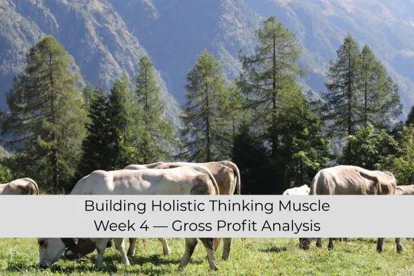 Gross Profit Analysis — Which Enterprise Truly Pays? 