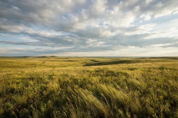 Managed grazing boosts grassland carbon capture