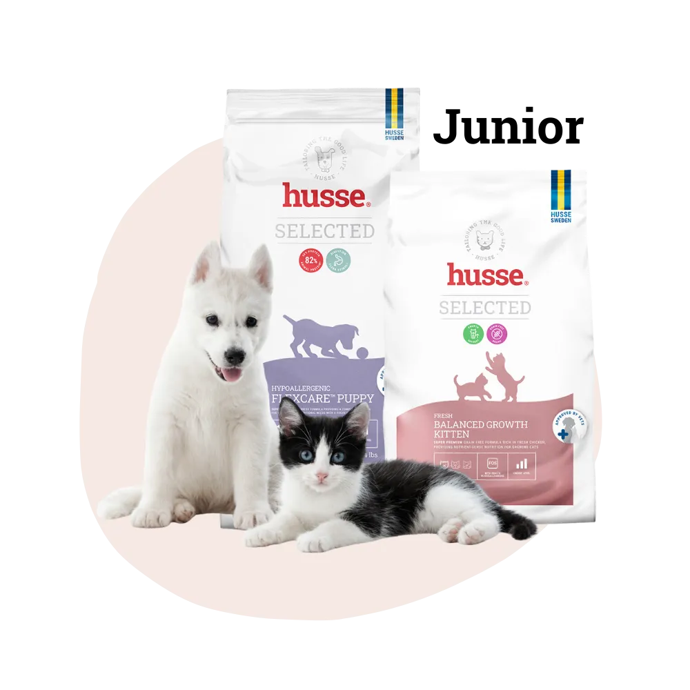 Alimentação Pet Junior