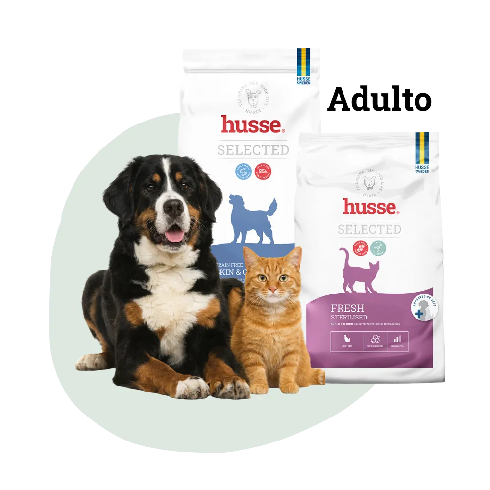 Alimentação Pet Adulto