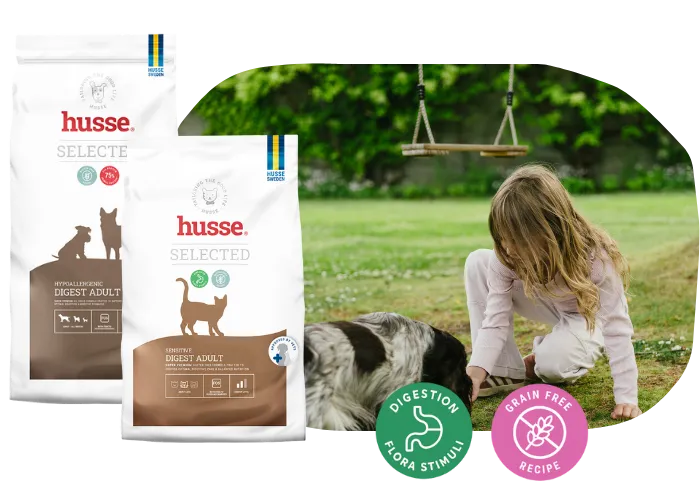 Animal problema digestão