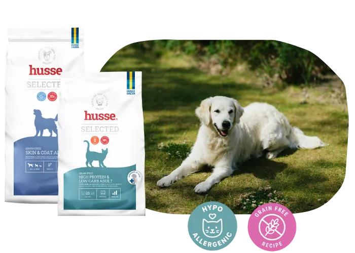 Animal queda de Pelo