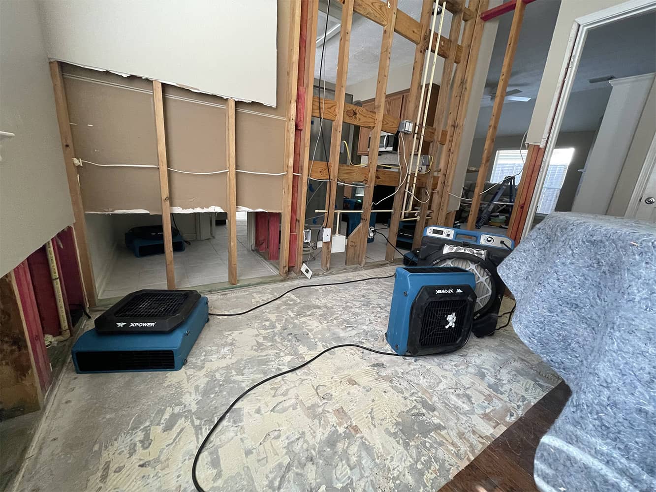 Family-Owned, Women-Owned Business You Can Trust