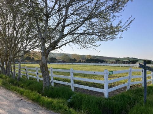 Rural Pasture Fencing in Medford