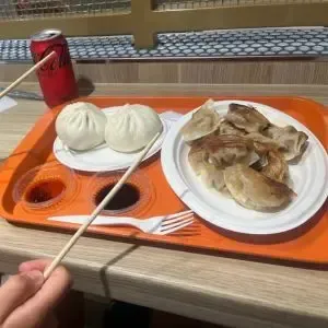 Delicious Dumpling Dynasty