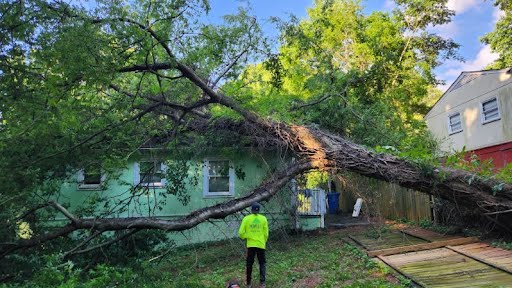 Professional storm response crane operation