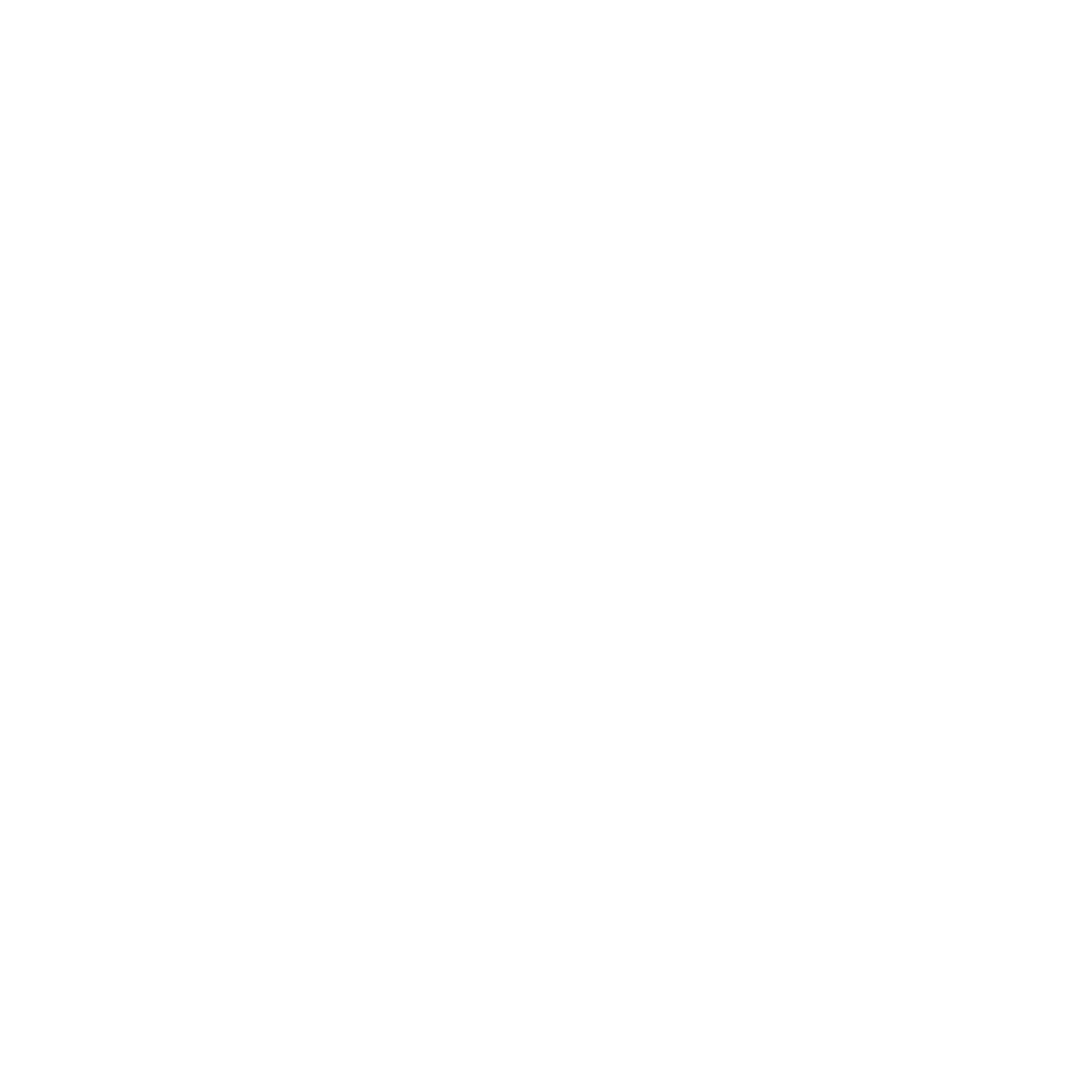 Elite Hail Systems Logo