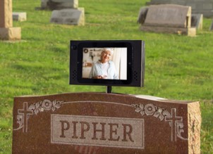 yellow sunflower in close up photography