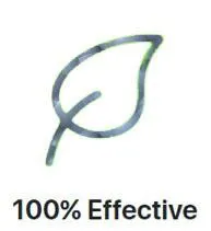 effective 