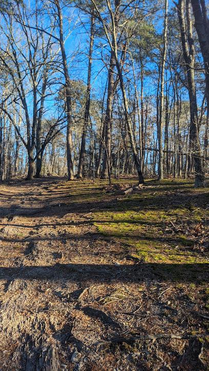 Architectural Service Rocky Mount