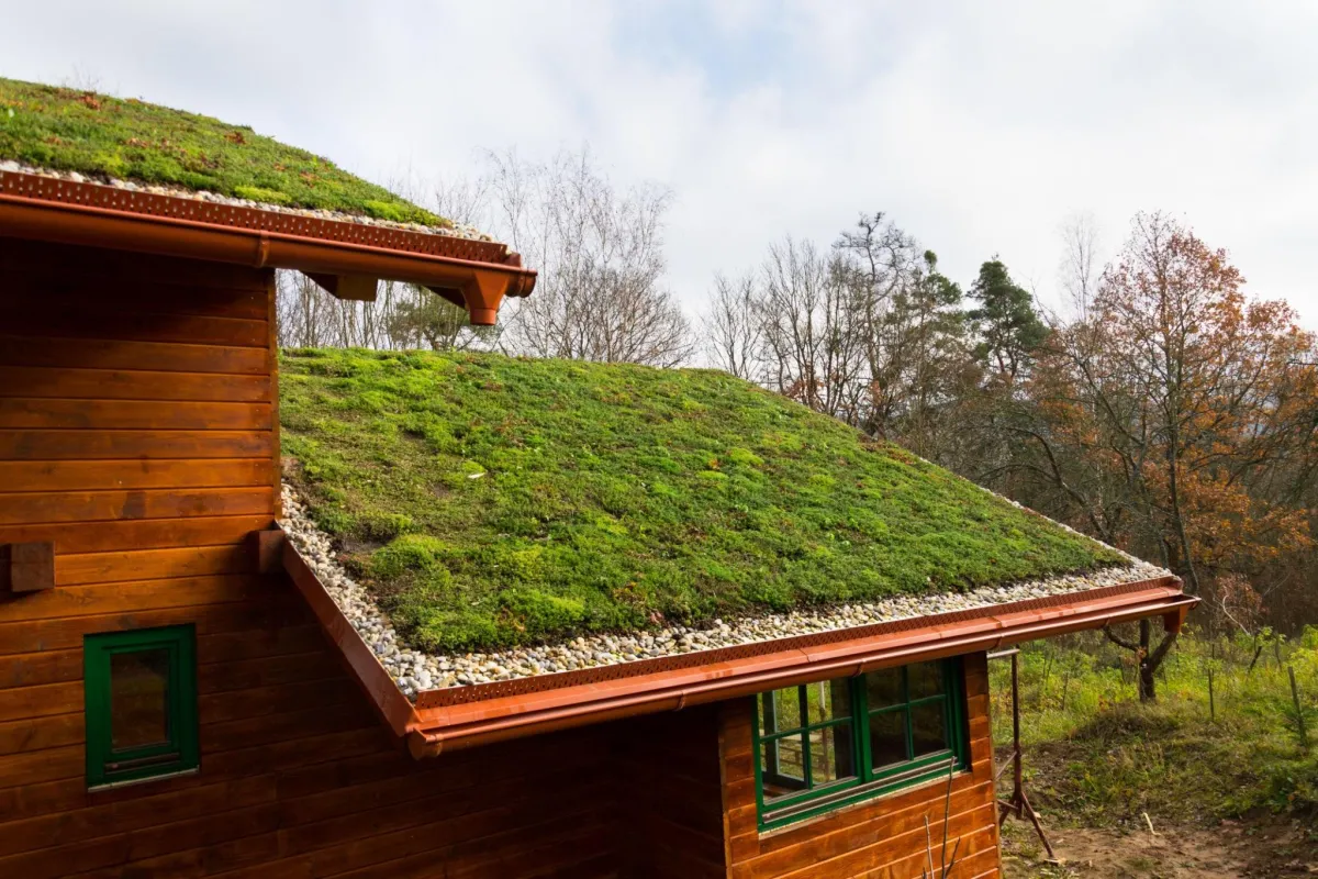 green roofing system