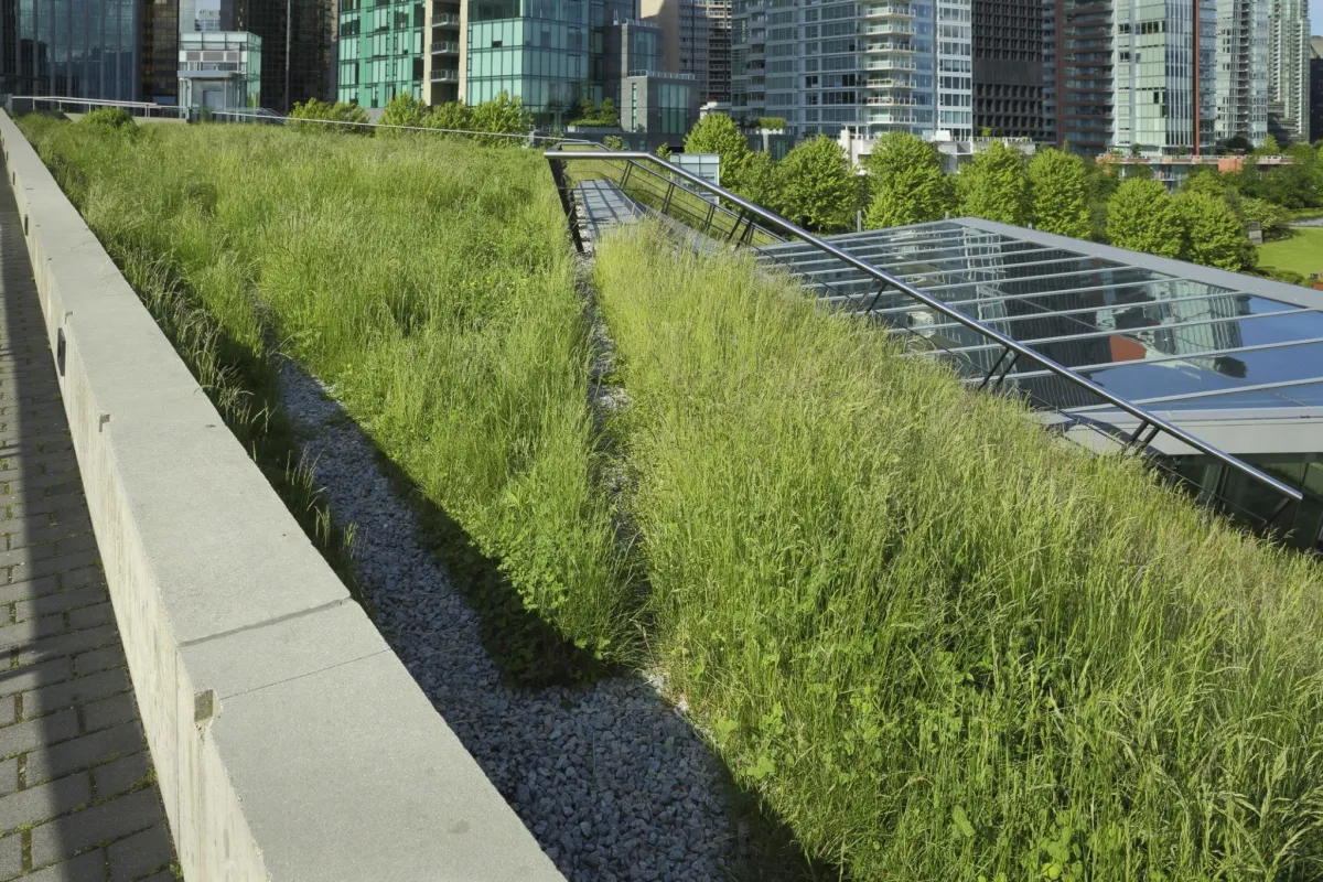 green roofing system