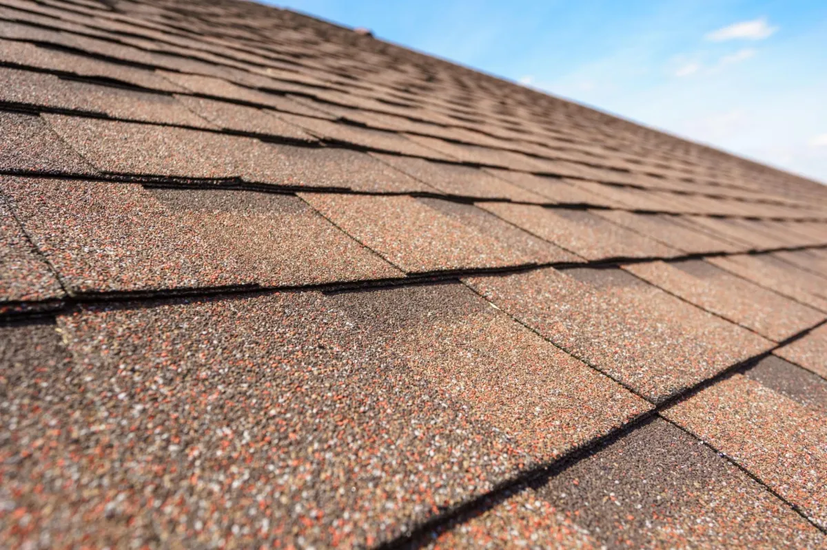 asphalt shingles