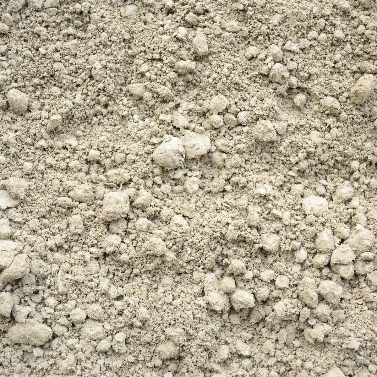 silty soil