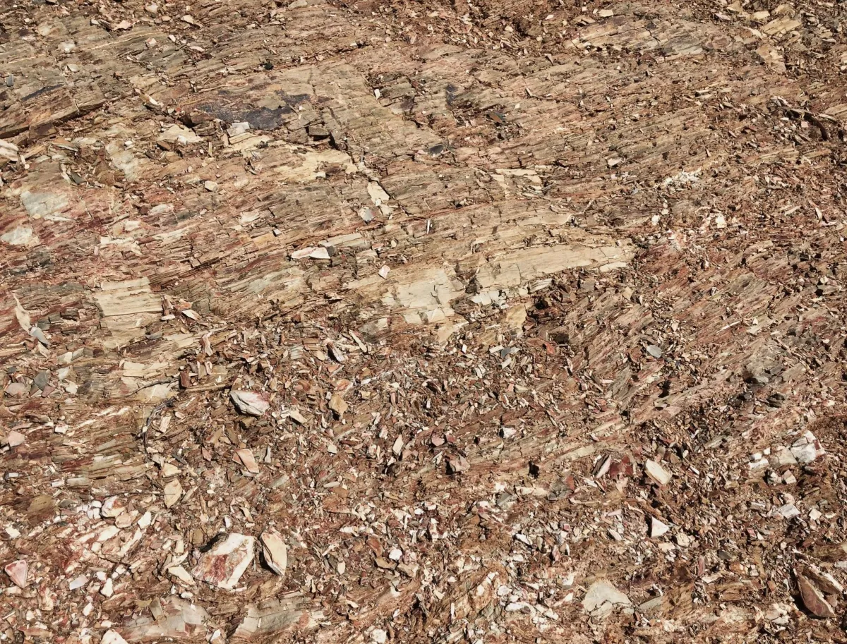 rocky soil