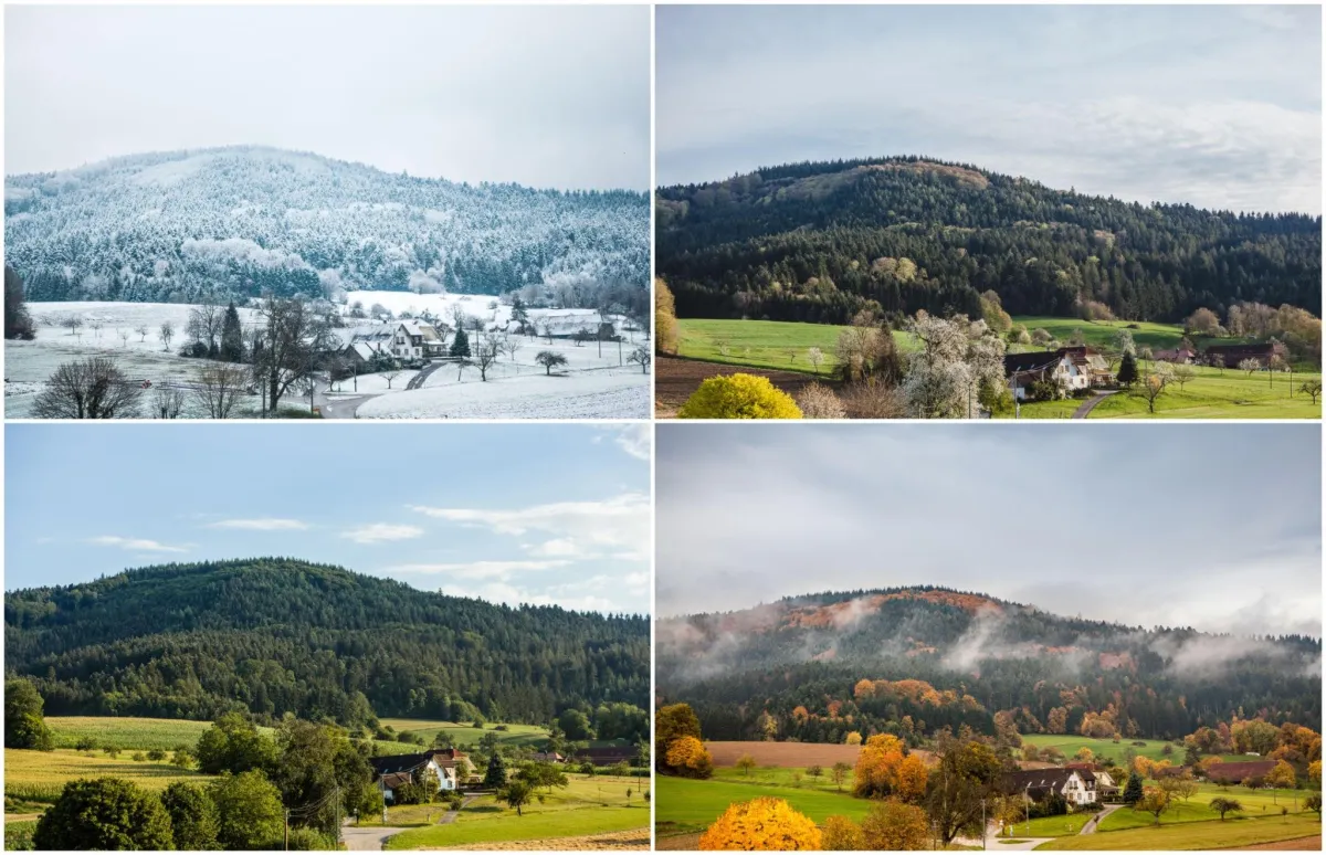 same location in all 4 seasons