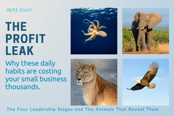 Next Wave graphic titled “The Profit Leak” featuring an octopus, elephant, lion, and eagle representing four leadership stages and the daily habits that can cost small business owners thousands.